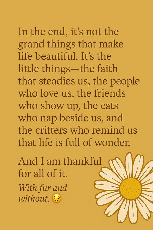 A Heart Full of Gratitude: The Blessings I’m Thankful For 🌼