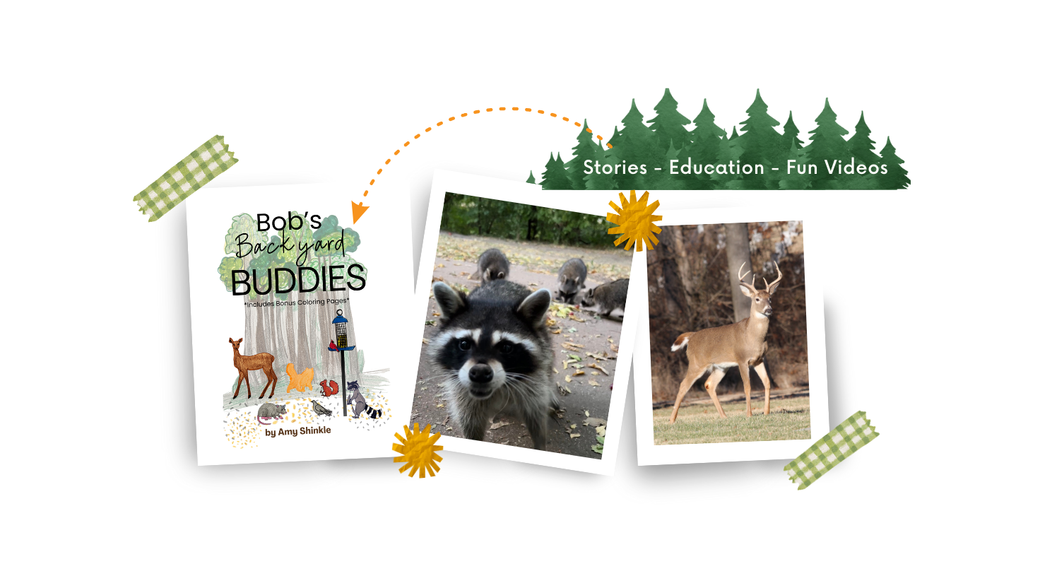 Bob’s Buddies Collection 🐱