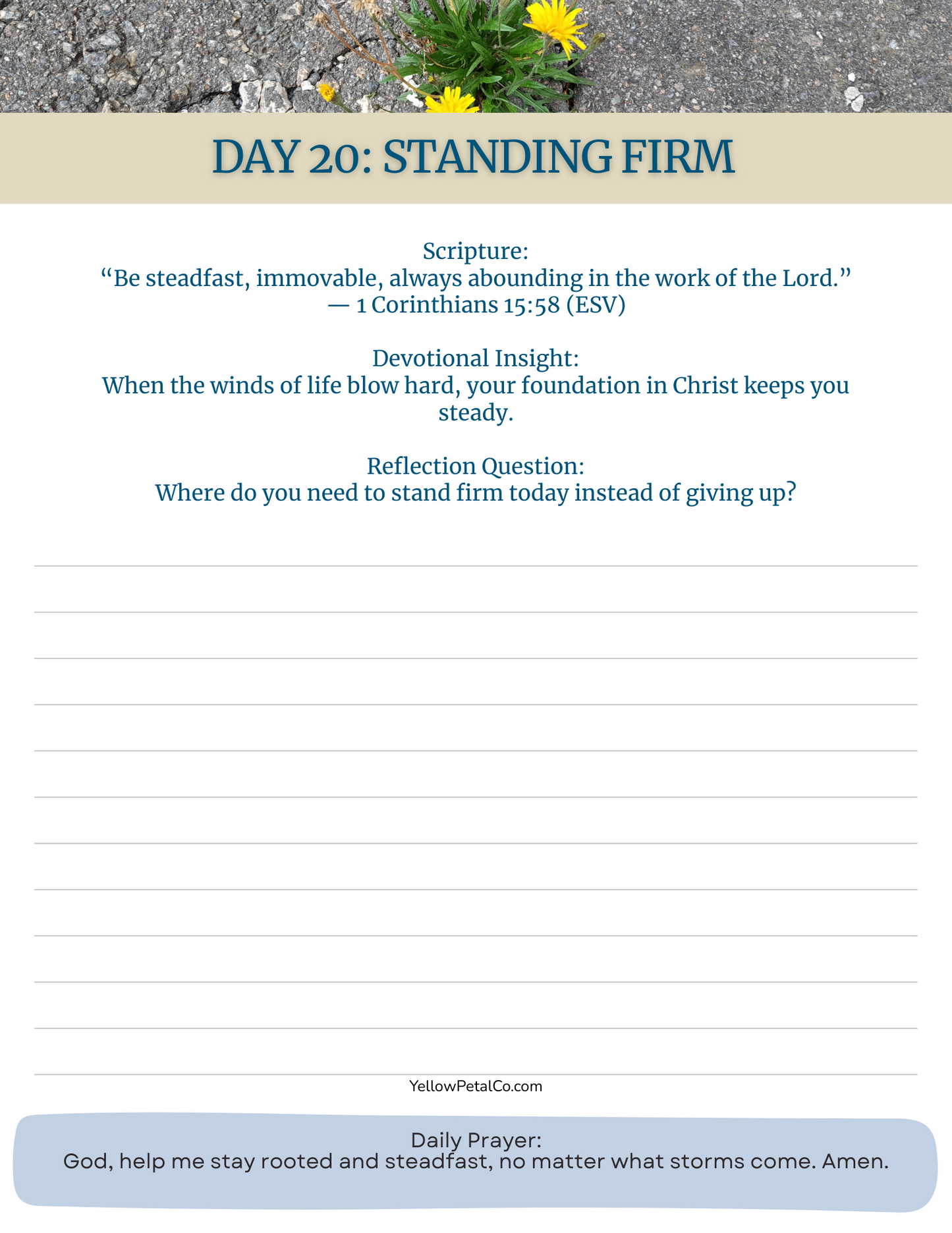 Still Standing: 30-Day Christian Devotional on Perseverance